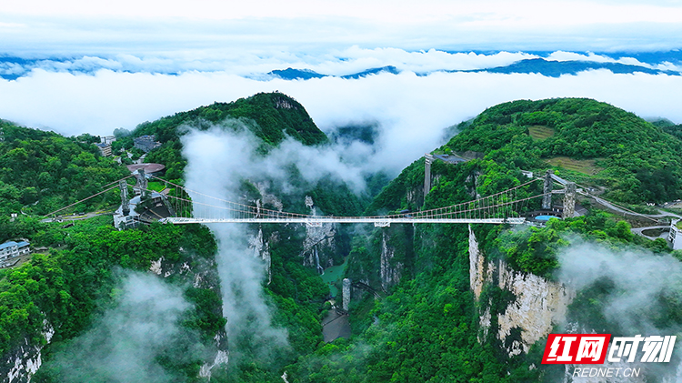 张家界大峡谷